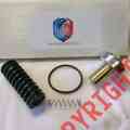 128813-051 Check Replacement Valve Kit Minimum Pressure Quincy