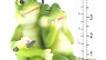 0502624 52624 Generic Mayrich Decorative Rain Gauge Cute Resin Frog 050262526244