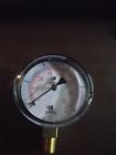 Plp306 628311203219 Winters New Psi Guage Npt