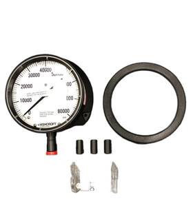 601379wwsl09l80000 Ashcroft 601379wwsl09l80000# - 1379 Series Duragauge Process Gauge