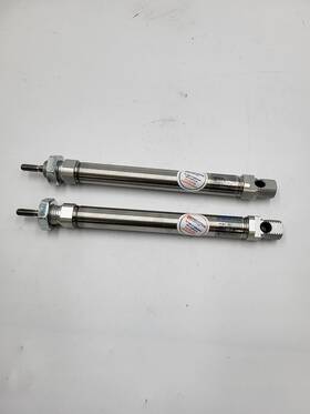 Dsnu-16-100-ppv-a Festo Cylinder