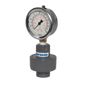 Gg225x25 Hayward Flow Control Gauge Guard 1/4 Inch X Cpvc/fpm Fpt