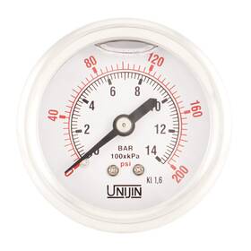 P251 Instruments 313098287254 Series 2 Inch Dial Oil Filled Pressure Gauge With Brass Internals 0-200 Psi/kpa