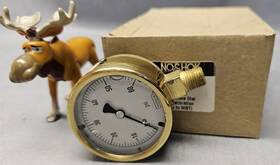 25-300-60 Noshok 1/4 Inch Npt Bottom Conn 2.5 Brass Liquid Filled Nist Certified