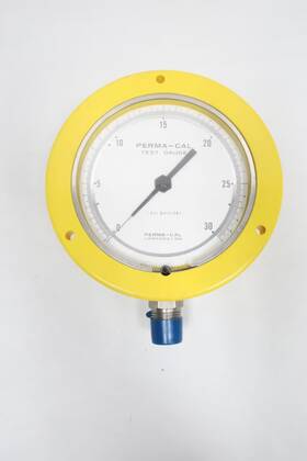 101ftm01y23 Perma-cal Test Gauge 4-1/2in 0-30psi 1/2in Npt