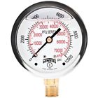Pfq813 Winters Pfq Pressure Gauges Series Stainless Steel Dual 628311235142