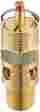 S-1090-200 Miltonindustries Milton 1 4 Relief Valves Mnpt Asme Safety Valve 200 Psi Pop Off 030937109002