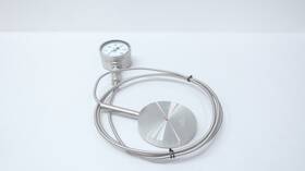 Wika 233.30.100 14261602 Diaphragm Seal Pressure Gauge 5-1/4in 4in 0-300psi