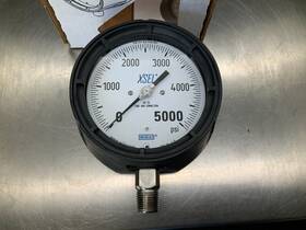 9834931 Wika 232.34 4.5 Pressure Gauge 5000psi