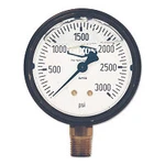 Dixon Valve 238-GLS450 1/2 Stnls Lm 0-3000 Ps. Fixed Price $28.10.
