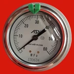 Ask OPG-DT-G1/4-60X60MPA-B Liquid Filled Pressure Gauge. Fixed Price $69.00.
