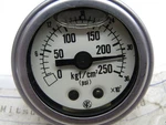 Ask Mitsubishi OPG-DU-R1/4-39-250 Glycerin Filled Pressure Guage. Fixed Price $80.00.