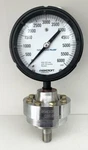 Ashcroft Plus Pressure Gauge 0/6000PSI W/ C1018 Stainless Steel Diaphragm Seal. Fixed Price $250.00.