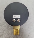 Abs Case Gauge 4FLU3. Fixed Price $20.00.
