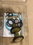 Powers 230 137 Poppet Replacement Kit 1-1/4" #674I124-CI. Fixed Price $20.00.