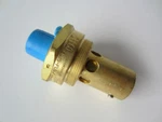 Rego Cryogenic Pressure Relief Valve 1/2" Npt 280 Psig CO2 Service Asme 555. Fixed Price $46.08.