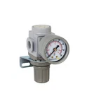 Pneumaticplus SAR200N02BG Miniature Compressed Air Pressure Regulator 1/4" Np.... Fixed Price $47.17.
