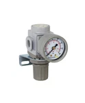 SAR200-N02BG Miniature Compressed Air Pressure Regulator 1/4" Npt Bracket, Gau. Fixed Price $50.99.