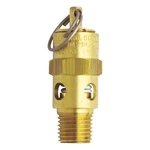 Milton Asme Coded Safety Valve, 1/4IN. Npt, Psi, Model# S-1090-150. Fixed Price $23.14.