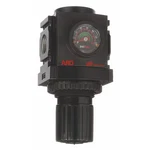 Aro R37231-600 Air Regulator, 3/8 In Npt, 113 Cfm, 250 Psi. Fixed Price $73.49.