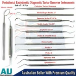 Dental Perio Hygiene Tooth Depth Measuring Prob Tarter Calculus Plaque Scrapers. Fixed Price $31.40.