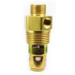 Brass Air Compressor 3/4" Male Npt X 1/2" Compression In Tank Check Valve Usa. Fixed Price $19.95.