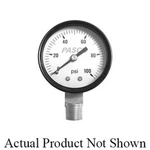Pasco 1728 Pressure Gauge 1/4" Steel 60 Psi Mnpt Connection. Fixed Price $30.73.