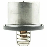 Motorad Engine Coolant Thermostat 880080 5245156 Bmw Dodge Ford. Fixed Price $32.40.