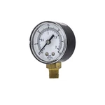 Pic Gauges SEP-101D-204C-BSPT Pressure Gauge,general PURPOSE,2" Dial 54XP08. Fixed Price $9.48.