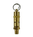Kingston 1/4 Npt Brass Hard Seat Pressure Relief Valve 200 Psi 251 Scfm. Fixed Price $24.95.