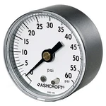 Ashcroft 35-W-1005-H-02L-100# Type Commercial Pressure Gauge 0-100 Psi. Fixed Price $15.00.