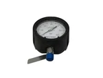 Reotemp PI-200A Pressure Gauge 0-60PSI Nsnp. Fixed Price $60.00.