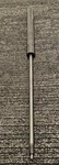 Stabilus 729825 Bloc-o-lift 24.02 In. 67.4 Lbs. Locking Gas Spring. Fixed Price $139.99.