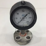 Wika Xsel 0-300PSI Pressure Gauge Stainless Tube 4.5" With Ametek Diaphragm. Fixed Price $89.99.