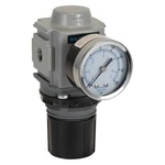 Wilkerson R18-03-F0G0B Air Pressure REGULATOR,1/4" Pipe Size 55KD62. Fixed Price $168.01.