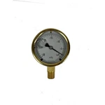 Noshok 25-300-30-VAC Pressure Gauge, Glycerin Filled, 1/4" Npt. Fixed Price $20.25.