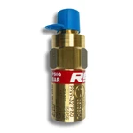 Rego Brass Relief Valve Psi Ptfe Seat Cryogenic Gas System PRV9432T350 1/4". Fixed Price $49.00.