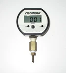 Omega DPG1000B-300G 0-300 Psig. Fixed Price $259.94.