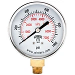 Winters 2.5 Inch Pressure Gauge 0600 Psi 1/4 Npt Bottom Mount Steel. Fixed Price $25.39.