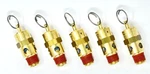 Air Compressor Asme Saftey Valve 200 Psi 1/4'' Male Pipe Thread 5 Pack. Fixed Price $90.00.