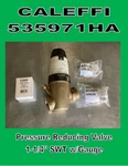 Caleffi 535971HA Pressure Reducing Valve 1-1/4" Swt W/ Gauge & Fittings. Fixed Price $99.00.