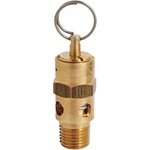 Milton 1/4 In. Mnpt Psi Safety Valve S-1090-125. Fixed Price $28.64.