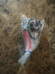Crown Solenoid Valve Assembly (cr 122167-001). Fixed Price $209.99.