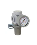 Pneumaticplus SAR200-N02BG Miniature Compressed Air Pressure Regulator 1/4" Npt. Fixed Price $41.99.