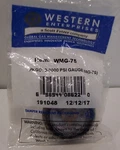 Western Enterprises 0-3,000 Psi Gauge WMG-75. Fixed Price $23.00.
